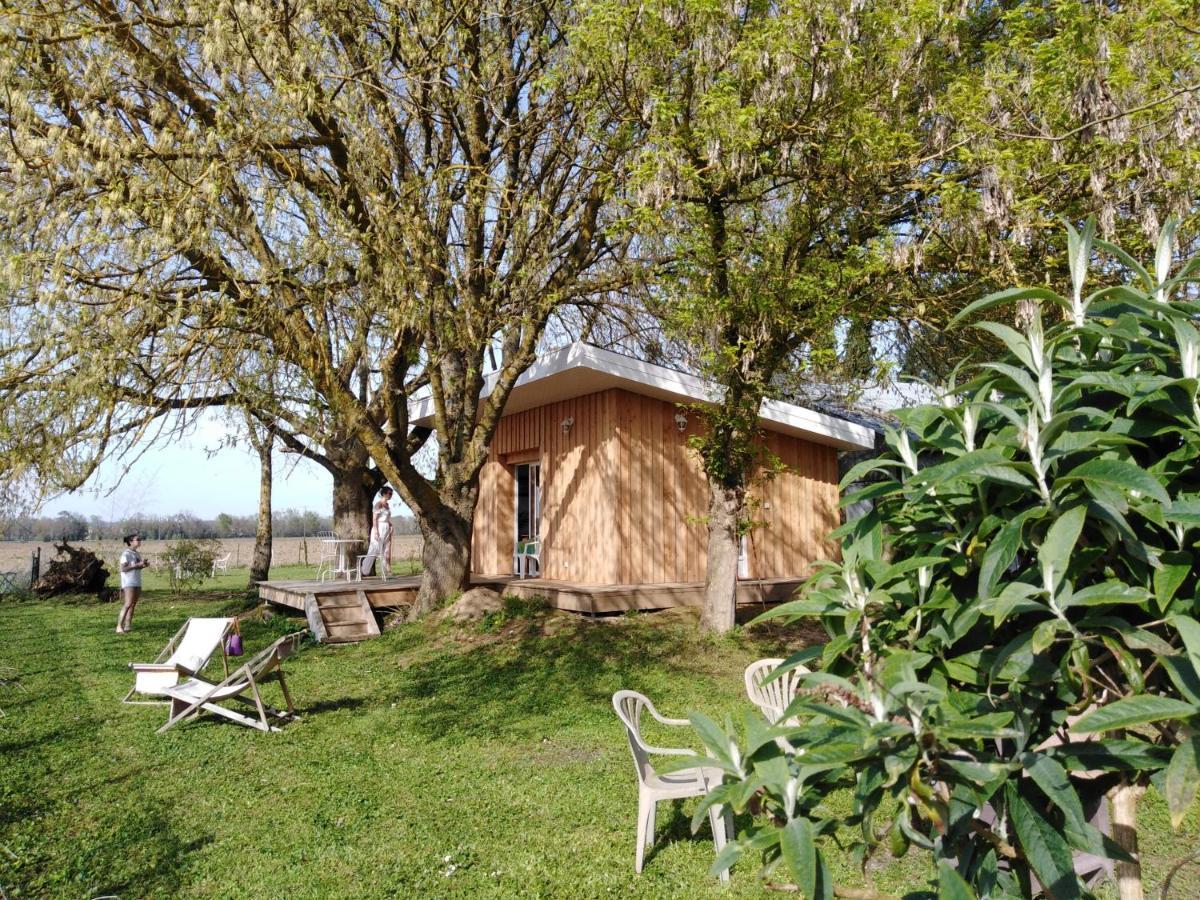Le Chalet Du Bord De L'Eau Sainte-Terre Екстер'єр фото