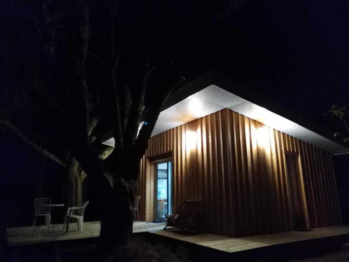 Le Chalet Du Bord De L'Eau Sainte-Terre Екстер'єр фото